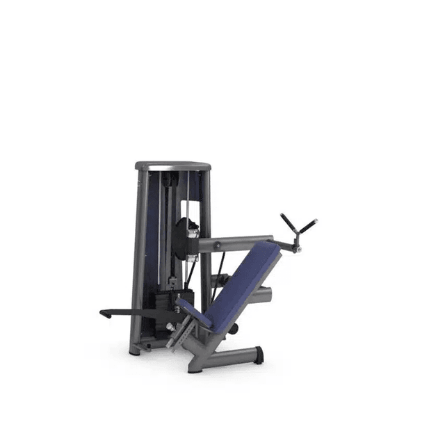 Gym80 Sygnum Line Pull Over Machine 3012