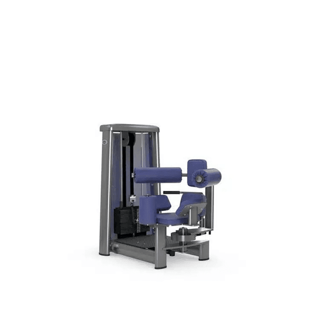 Gym80 Sygnum Line Rotary Torso