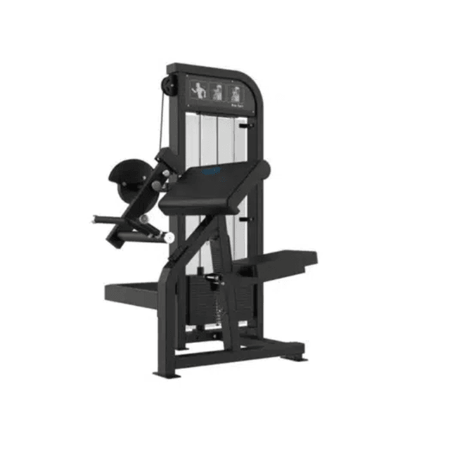 GymFit Custom-Line Arm Curl C46