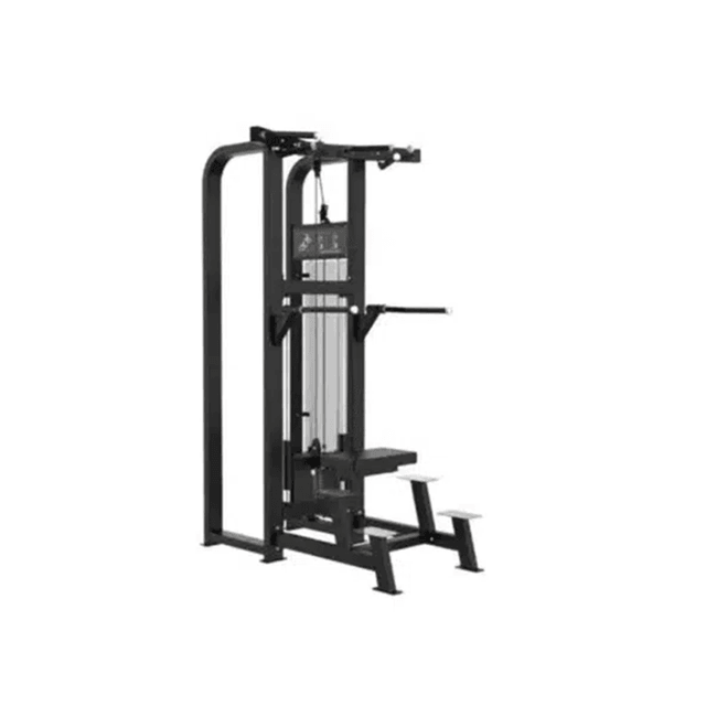 GymFit Custom-Line Assisted Chin Up Dip C19