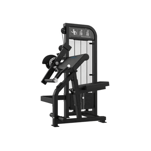 GymFit Custom-Line Biceps/Triceps Machine C86