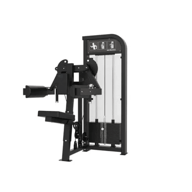 GymFit Custom-Line Delt Machine C10