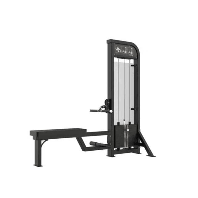 GymFit Custom-Line Low Row C21