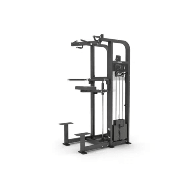 GymFit Custom-Line Plus Assist Chin/Dip CP11