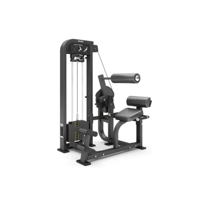 GymFit Custom-Line Plus Back Extension CP21
