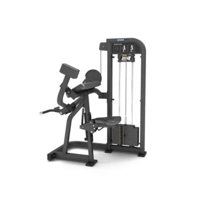 GymFit Custom-Line Plus Bicep Curl CP09