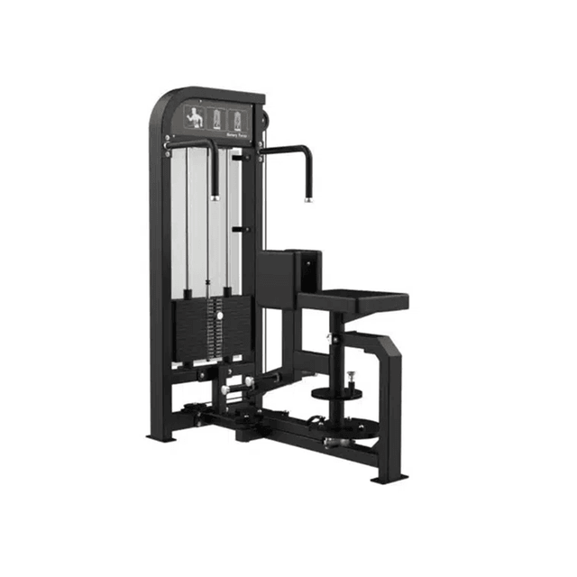 GymFit Custom-Line Rotary Torso C03