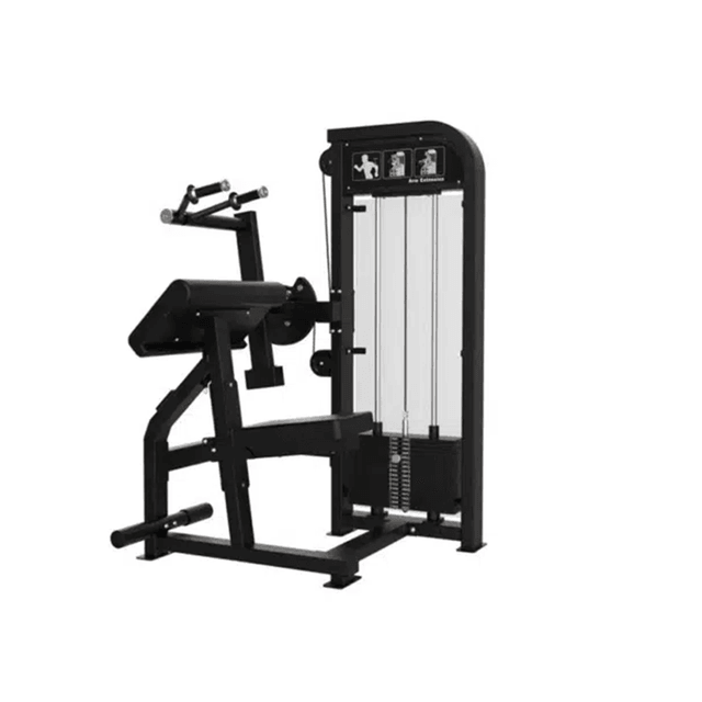 GymFit Custom-Line Triceps Extension C11