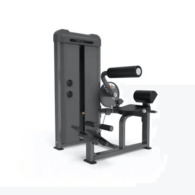 GymFit Luxury Line Back Extension L201