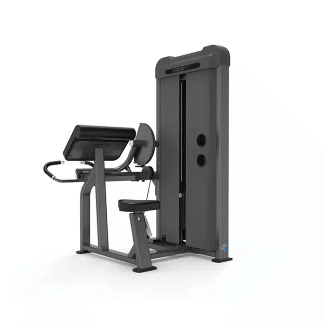 GymFit Luxury Line Biceps Curl L106