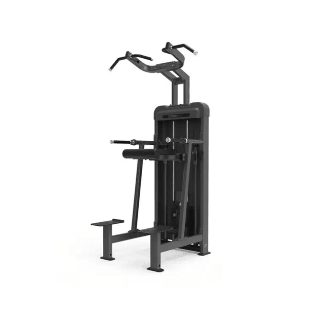 GymFit Luxury Line Dip/Chin Assistant L102