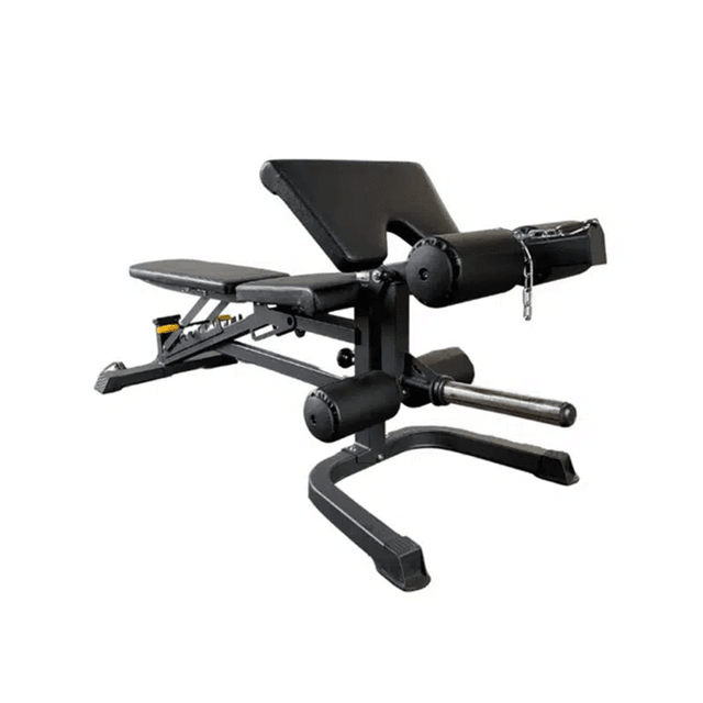 GymFit Multi-Bench All-in-1 met Bicep Curl