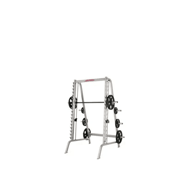 Life Fitness Fit Series Dual Smith/Rack