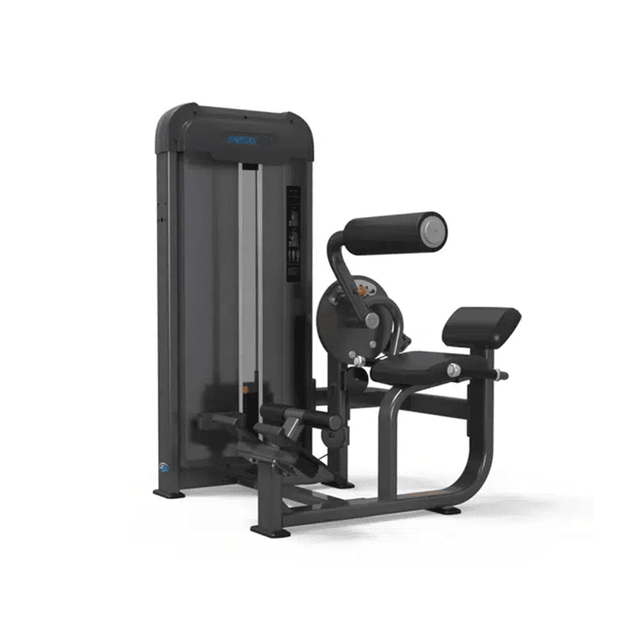 GymFit Luxury Line Plus Abdominal/Back Extension LP06