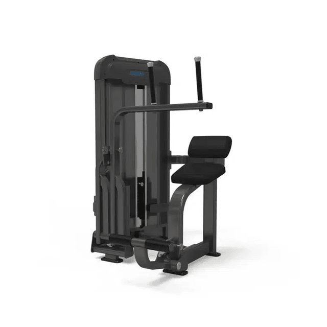 GymFit Luxury Line Plus Abdominal Machine LP301