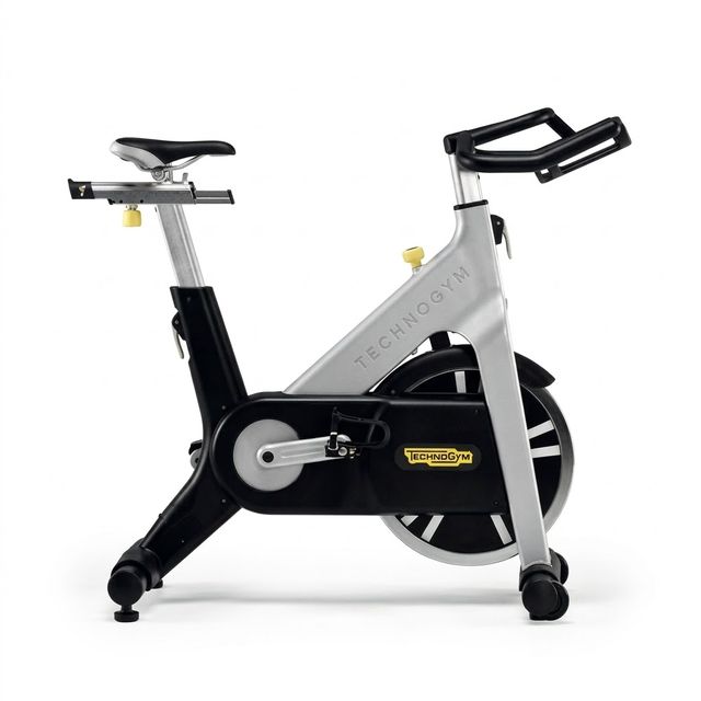 Technogym Group Cycle D91
