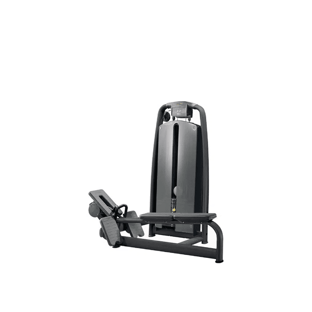 Technogym Selection Pulley