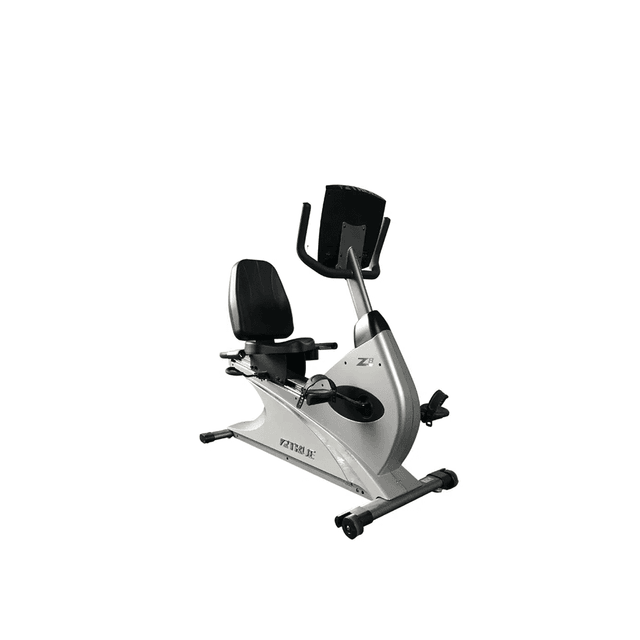 True Z8 Recumbent Bike