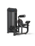 LP06 | GYMFIT ABDOMINAL/ BACK EXTENSION | LUXURY-LINE PLUS