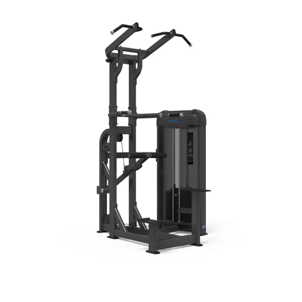 GymFit - Luxury-Line - Dip/Chin Assistant - LP105