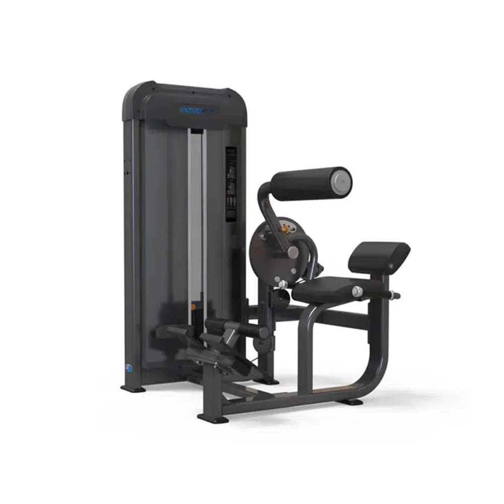 GymFit - Luxury-Line Plus - Abdominal/Back Extension - LP107