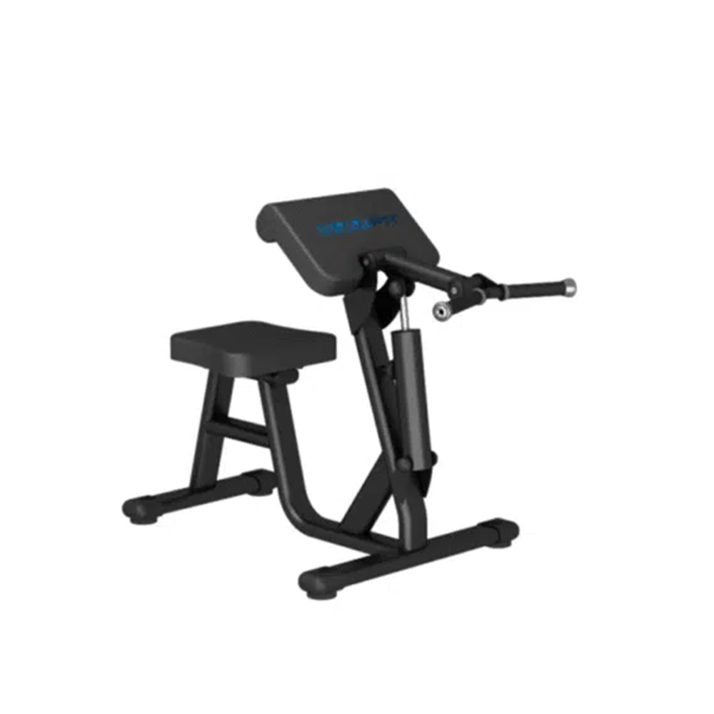 GymFit - Circuit-Line - Biceps Curl/Triceps Extention - H4