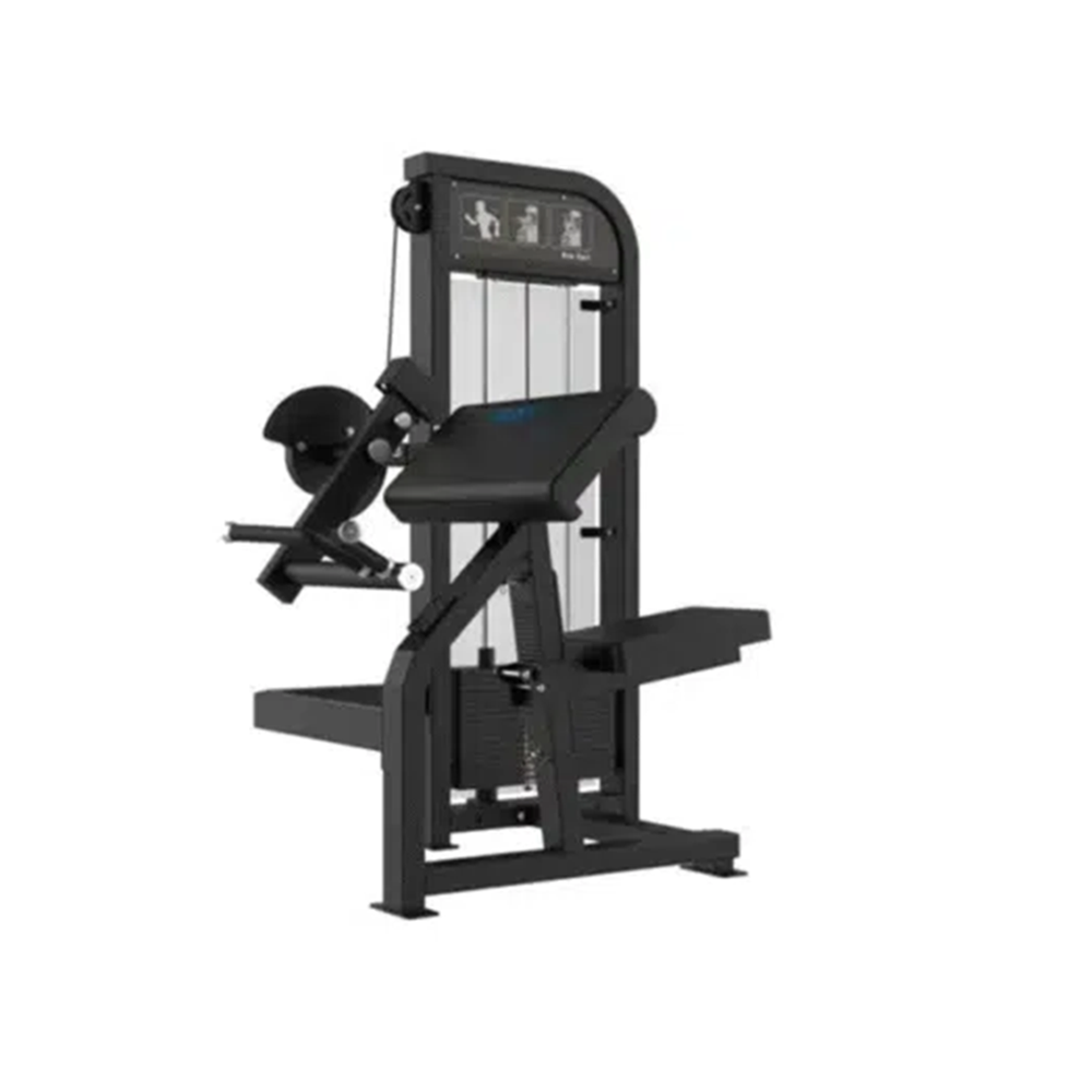 GymFit - Custom-Line - Arm Curl - C46
