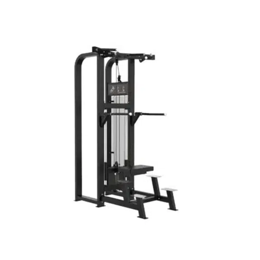 GymFit - Custom-Line - Assisted Chin Up Dip - C19