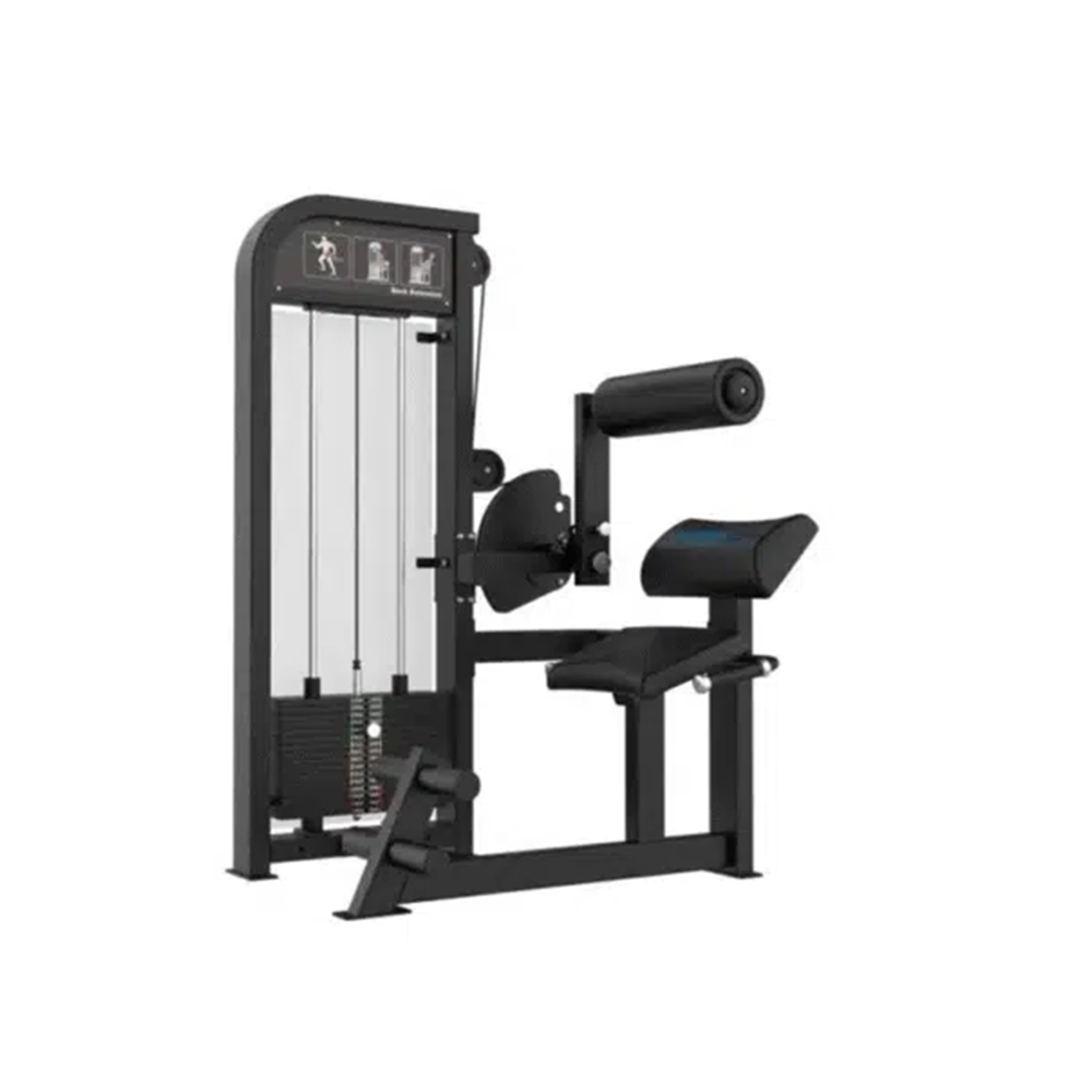 GymFit - Custom-Line - Back Extension C06