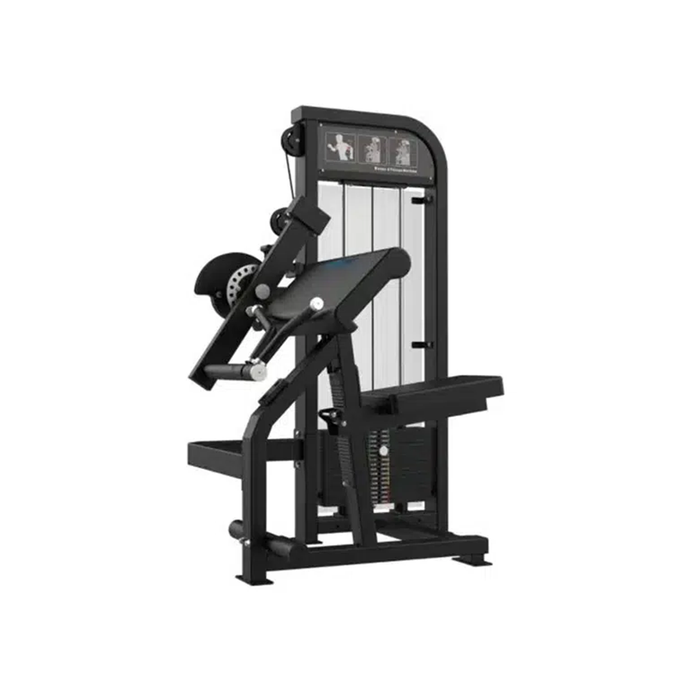 GymFit - Custom-Line - Biceps/Triceps Machine - C86