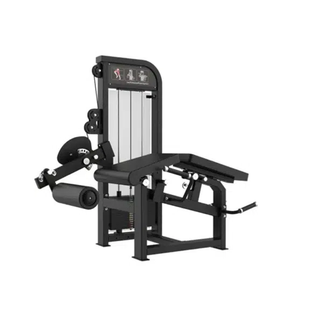 GymFit - Custom-Line - Leg Extension/Laying Leg Curl - C58