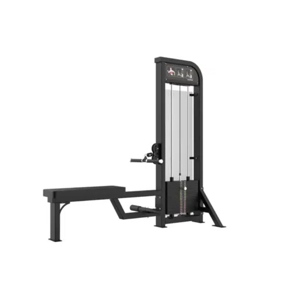 GymFit - Custom-Line - Low Row - C21
