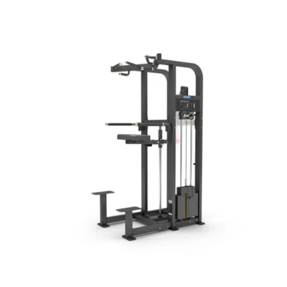 GymFit - Custom-Line Plus - Assist Chin / Dip - CP11