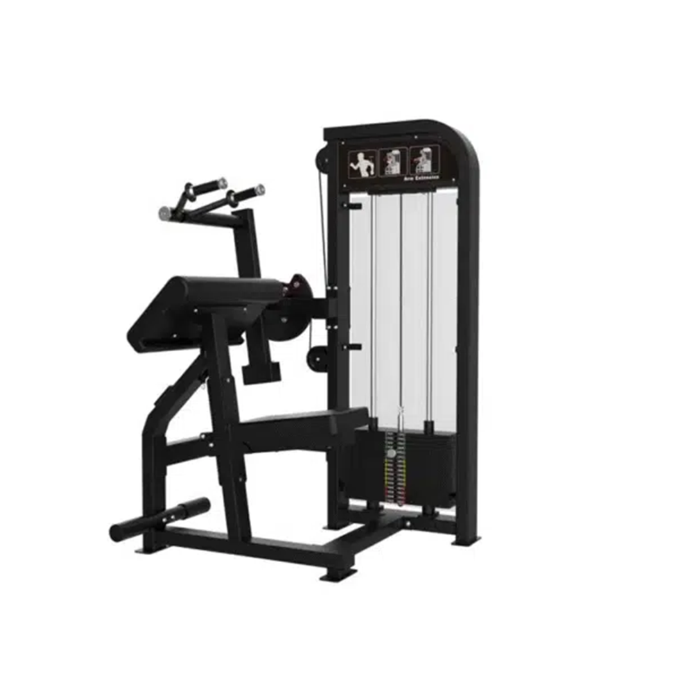 GymFit - Custom-Line - Triceps Extension - C11