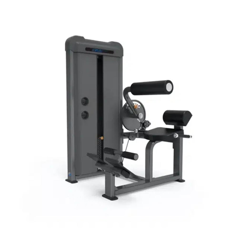 GymFit - Luxury-Line - Back Extension - L201