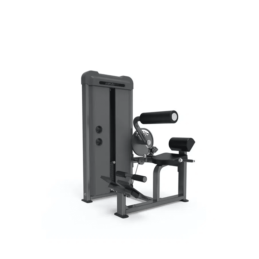 GymFit - Luxury-Line - Back Extension - L201