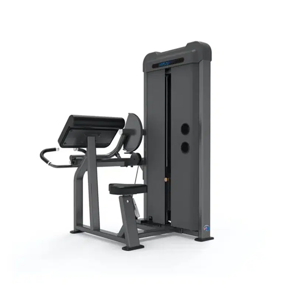 GymFit - Luxury-Line - Biceps Curl - L106