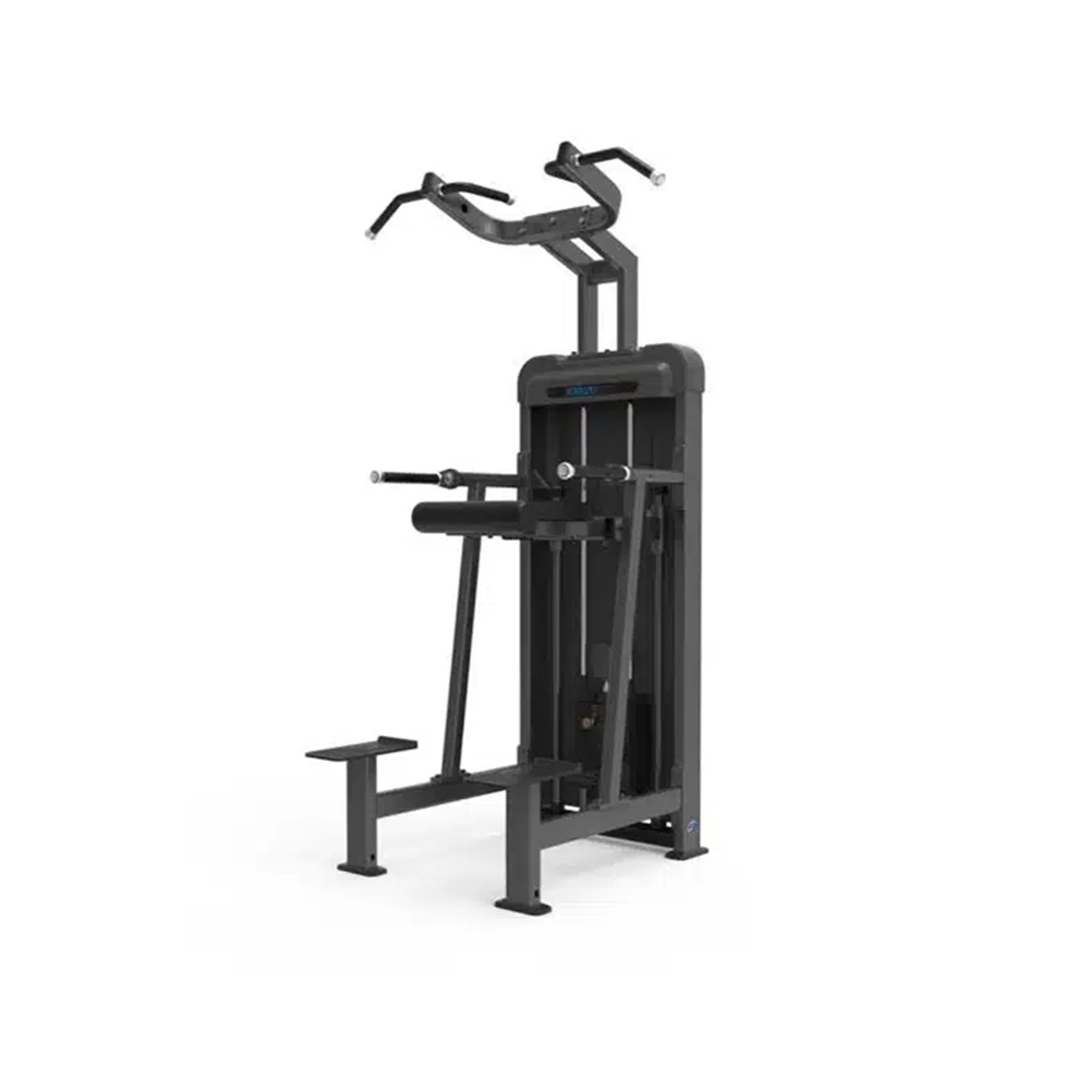 GymFit - Luxury-Line - Dip/Chin Assistant - L102