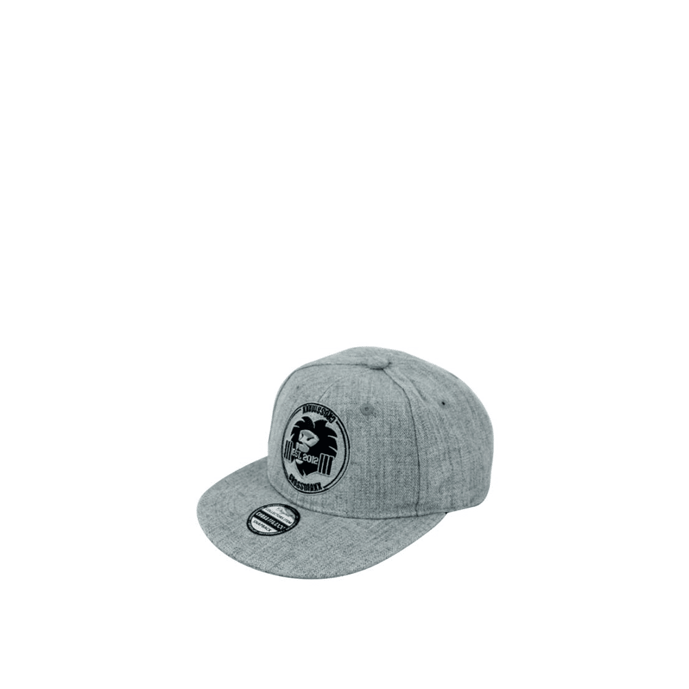 LMX2209 - Crossmaxx® - Snapback Grey